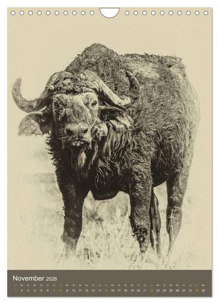 Produktbild: Afrikas Tierwelt - Sepia-Art (Wandkalender 2026 DIN A4 hoch), CALVENDO Monatskalender