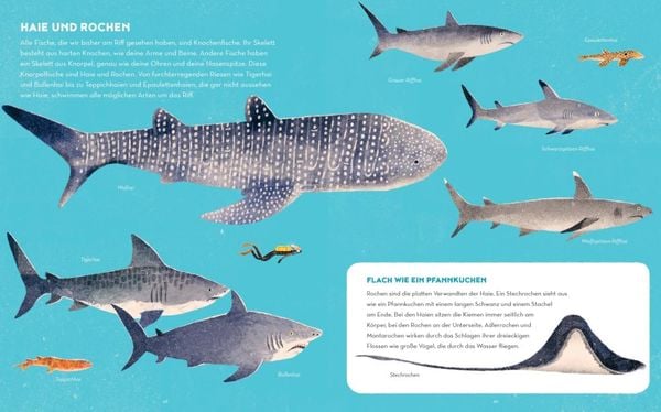 Produktbild: Das Great Barrier Reef