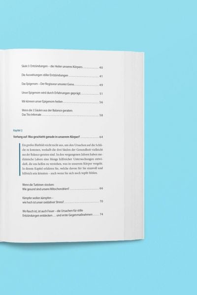 Produktbild: Die 3 S&auml;ulen der Gesundheit