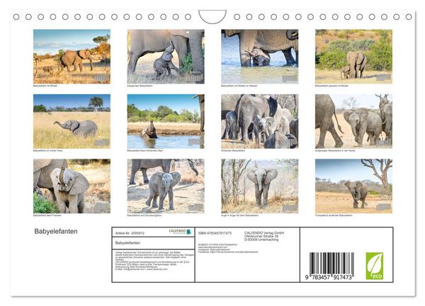Produktbild: Babyelefanten (Wandkalender 2026 DIN A4 quer), CALVENDO Monatskalender