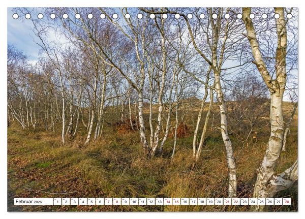 Produktbild: Wintertage auf Norderney (Tischkalender 2026 DIN A5 quer), CALVENDO Monatskalender