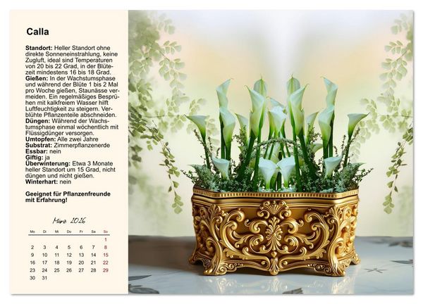 Produktbild: Bestes Raumklima durch Zimmerpflanzen (Wandkalender 2026 DIN A2 quer), CALVENDO Monatskalender