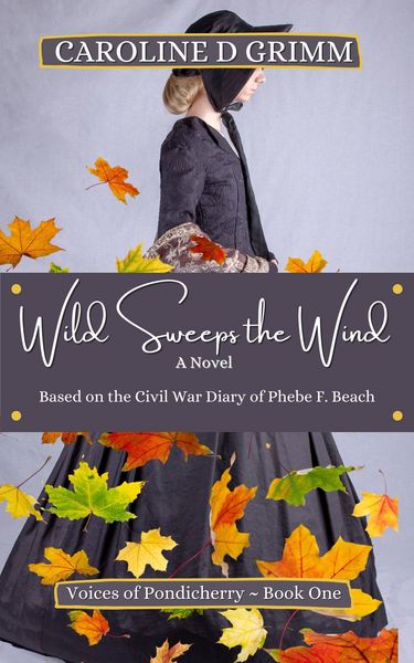 Produktbild: Wild Sweeps the Wind (Voices of Pondicherry, #1)