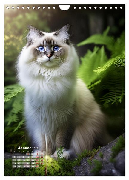 Produktbild: Pfotenabenteuer - Ragdolls in der Natur (Wandkalender 2026 DIN A4 hoch), CALVENDO Monatskalender
