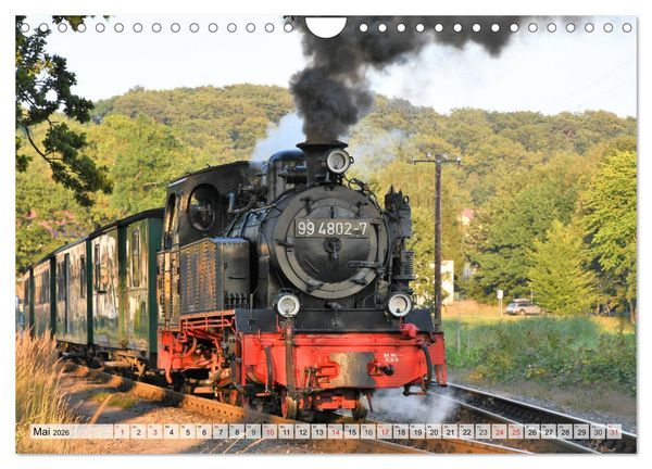 Produktbild: Mit Dampf &uuml;ber die Insel R&uuml;gen (Wandkalender 2026 DIN A4 quer), CALVENDO Monatskalender