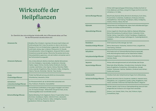 Produktbild: Heilen mit pflanzlichen Antibiotika
