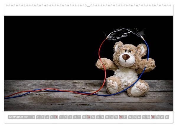 Produktbild: Eddy, der Teddy - 12 Bilder zum Schmunzeln (hochwertiger Premium Wandkalender 2026 DIN A2 quer), Kunstdruck in Hochglanz