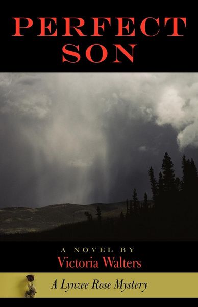 Produktbild: Perfect Son