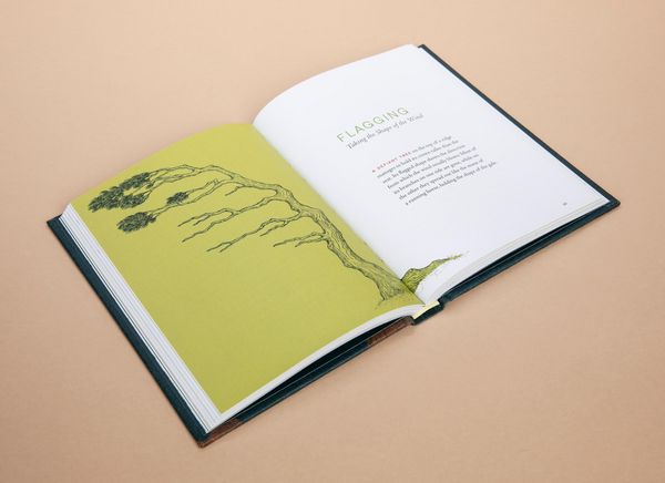 Produktbild: A Forest Language