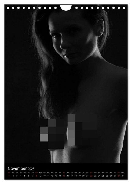 Produktbild: Erotic Silhouettes / UK-Version (Wall Calendar 2026 DIN A4 portrait), CALVENDO 12 Month Wall Calendar