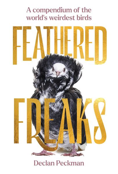 Produktbild: Feathered Freaks