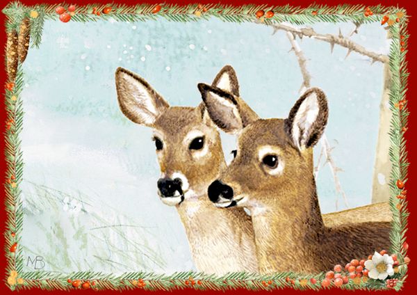 Produktbild: Mini-Adventskalender-Sortiment &ndash; Marjoleins Weihnachtsgr&uuml;&szlig;e