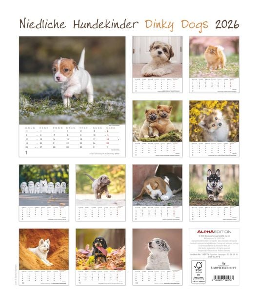 Produktbild: Niedliche Hundekinder 2026 - Wand-Kalender - Tier-Kalender - 30x34