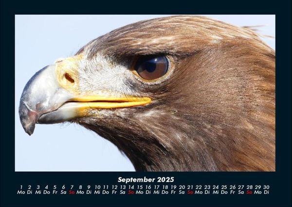 Produktbild: Adler 2025 Fotokalender DIN A4