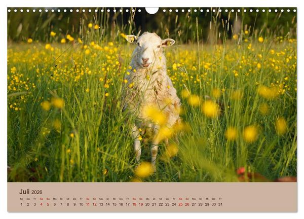 Produktbild: Bauernhoftiere - Von Klein bis Gro&szlig;, mit Fell und mit Federn. (Wandkalender 2026 DIN A3 quer), CALVENDO Monatskalender