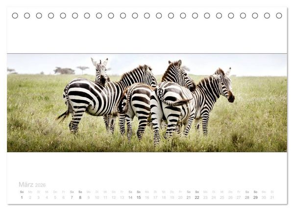 Produktbild: Serengeti Panorama (Tischkalender 2026 DIN A5 quer), CALVENDO Monatskalender