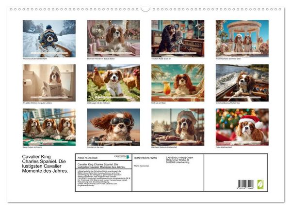 Produktbild: Cavalier King Charles Spaniel. Die lustigsten Cavalier Momente des Jahres. (Wandkalender 2026 DIN A2 quer), CALVENDO Monatskalender