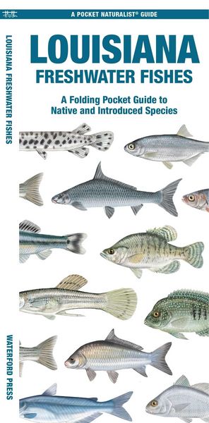 Produktbild: Louisiana Freshwater Fishes