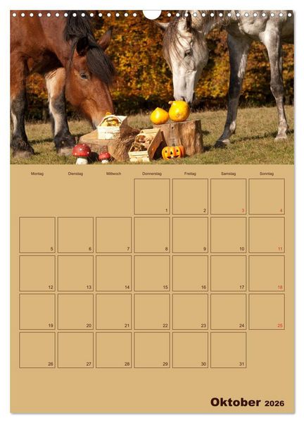 Produktbild: Pferde Gute Freunde (Wandkalender 2026 DIN A3 hoch), CALVENDO Monatskalender