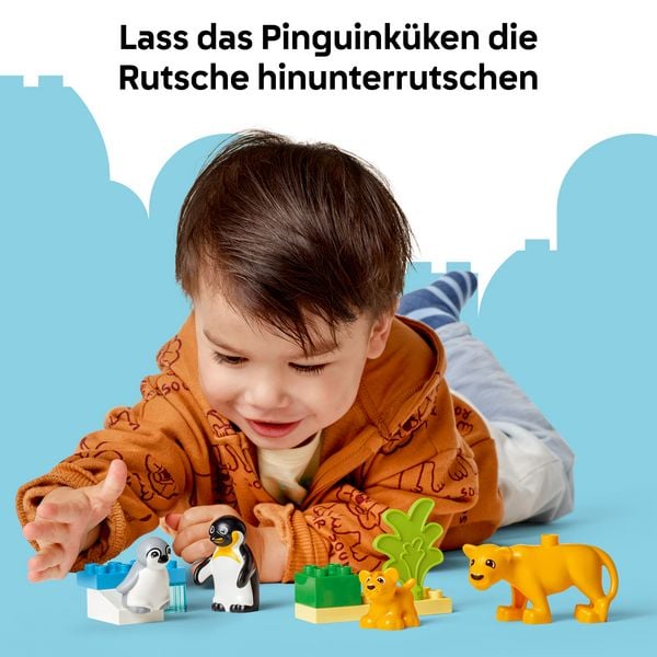 Produktbild: LEGO DUPLO 10442 Wildtier-Familien: Pinguine und L&ouml;wen, Lernspielzeug