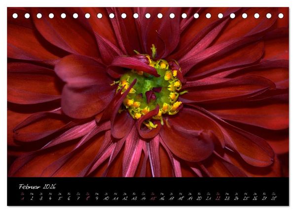 Produktbild: Serenade - Visuelle Musik der Blumen (Tischkalender 2026 DIN A5 quer), CALVENDO Monatskalender