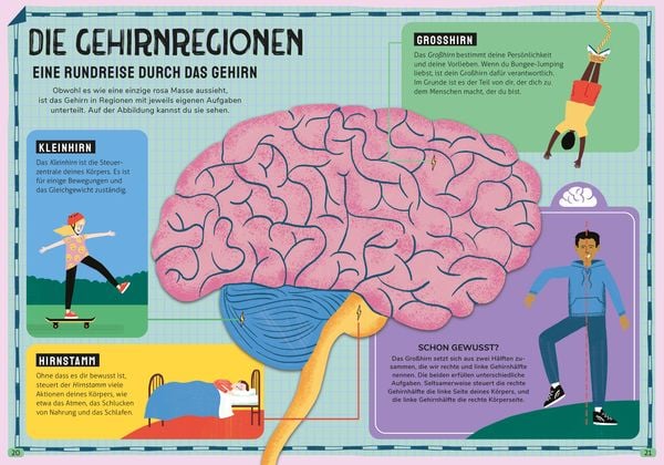 Produktbild: In den Kopf geschaut &ndash; Was das Gehirn alles kann