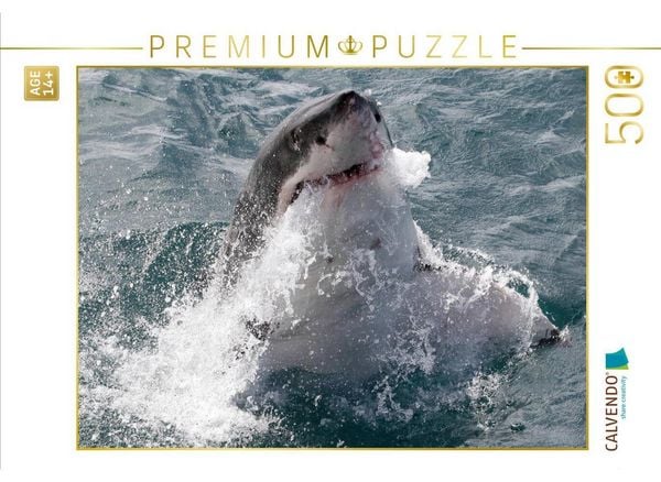 CALVENDO Puzzle Weißer Hai, Dyker Island, Südafrika | 500 Teile Lege-Größe 48 × 36 cm Foto-Puzzle für Erwachsene