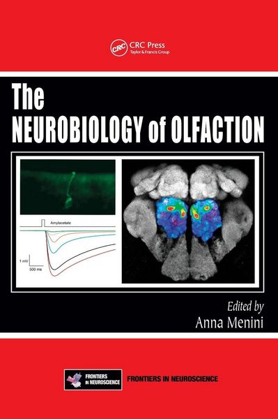 Produktbild: The Neurobiology of Olfaction