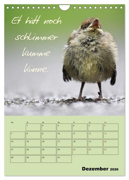 Produktbild: K&ouml;lsches Grundgesetz (Wandkalender 2026 DIN A4 hoch), CALVENDO Monatskalender