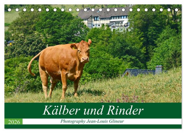 Kälber und Rinder (Tischkalender 2026 DIN A5 quer), CALVENDO Monatskalender