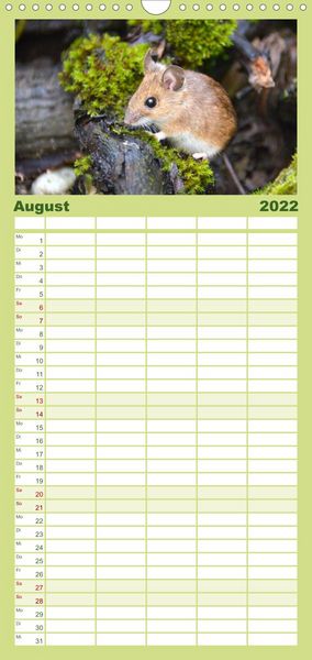 Produktbild: Familienplaner ... hier kommt die Maus ... (Wandkalender 2022 , 21 cm x 45 cm, hoch)
