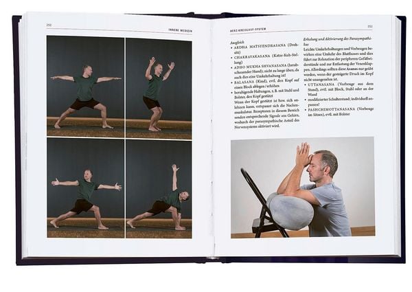 Produktbild: Yoga-Therapie in der Praxis