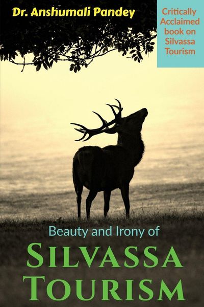 Produktbild: Beauty and Irony of Silvassa Tourism
