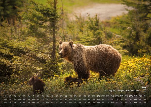 Produktbild: Kanada &ndash; Abenteuer Natur - 2027 - Kalender DIN A2