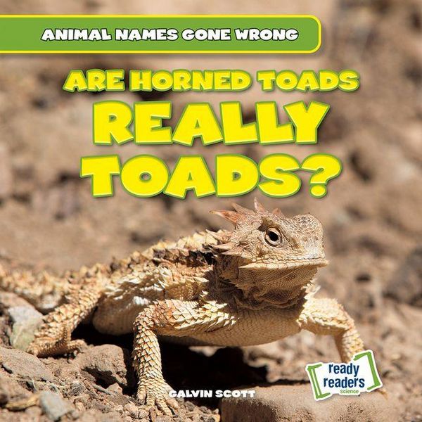 Produktbild: Are Horned Toads Really Toads?