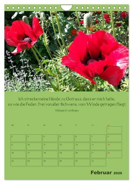 Produktbild: Erkenntnis und Weisheit - Hildegard von Bingen (Wandkalender 2026 DIN A4 hoch), CALVENDO Monatskalender