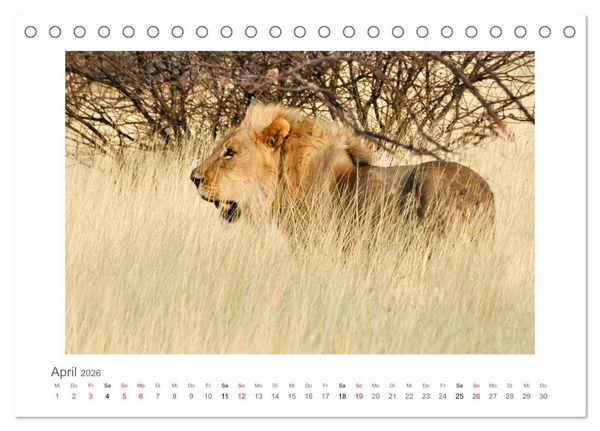 Produktbild: Namibia - unterwegs mit Julia Hahn (Tischkalender 2026 DIN A5 quer), CALVENDO Monatskalender