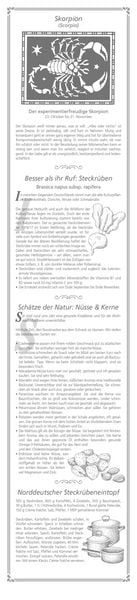 Produktbild: Paulines Küchenplaner 2026 - Streifenplaner - Wandplaner - Küchen-Kalender - 11,3x49,5