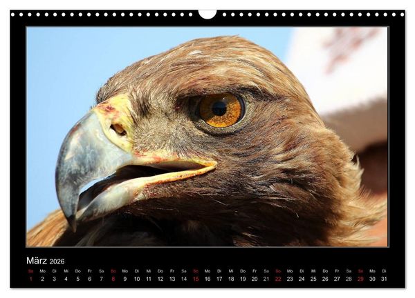 Produktbild: Unbekanntes Kirgistan (Wandkalender 2026 DIN A3 quer), CALVENDO Monatskalender