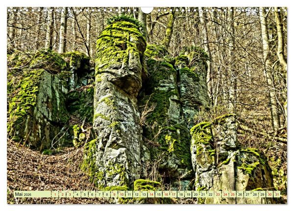 Produktbild: Verwunschene Waldtr&auml;ume: Ein Kalender voller Magie (Wandkalender 2026 DIN A3 quer), CALVENDO Monatskalender