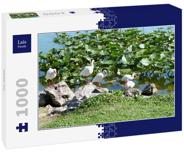 Produktbild: Lais Puzzle Wei&szlig;er Ibis 1000 Teile