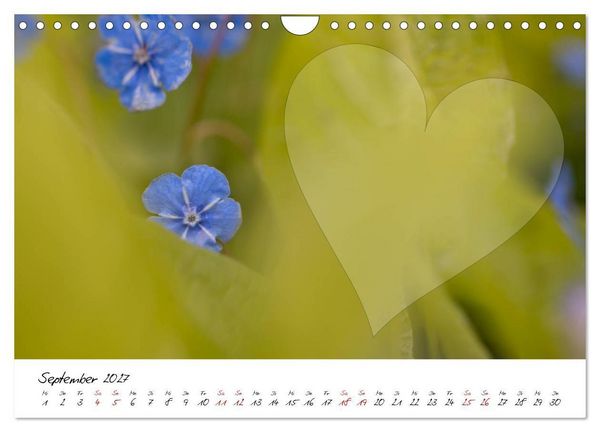 Produktbild: Blauer Bl&uuml;tentraum - Bastelkalender (Wandkalender 2027 DIN A4 quer), CALVENDO Monatskalender
