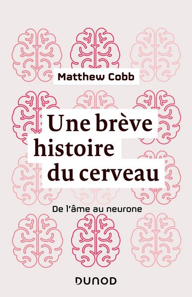 Produktbild: Une br&egrave;ve histoire du cerveau