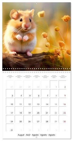 Produktbild: Sweet HAMSTERS (Wall Calendar 2026 12 &times; 12 Inch) CALVENDO 12 Month Wall Calendar