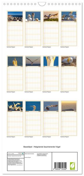 Produktbild: Familienplaner 2026 - Basst&ouml;lpel - Helgolands faszinierende V&ouml;gel mit 5 Spalten (Wandkalender, 21 x 45 cm) CALVENDO