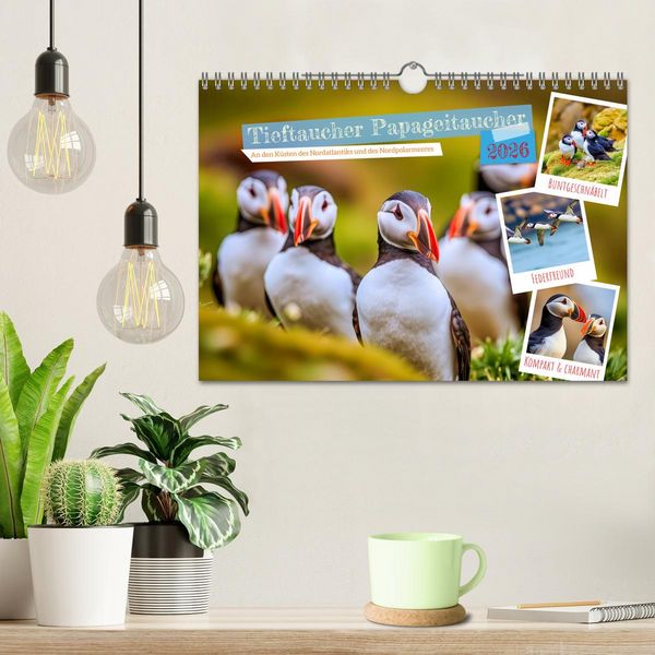 Produktbild: Tieftaucher Papageitaucher (Wandkalender 2026 DIN A4 quer), CALVENDO Monatskalender