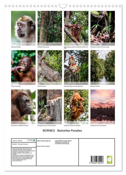 Produktbild: BORNEO Bedrohtes Paradies (Wandkalender 2026 DIN A3 hoch), CALVENDO Monatskalender