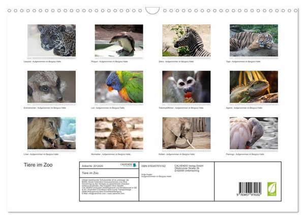 Produktbild: Tiere im Zoo (Wandkalender 2026 DIN A3 quer), CALVENDO Monatskalender