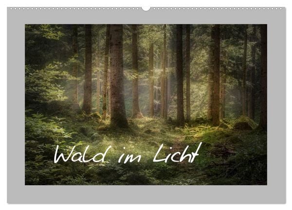 Produktbild: Wald im Licht (Wandkalender 2026 DIN A2 quer), CALVENDO Monatskalender