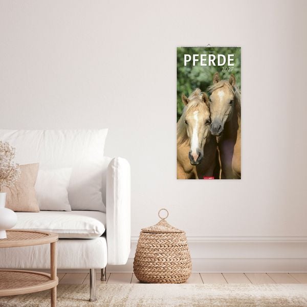 Produktbild: Pferde Kalender 2027